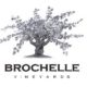 Free wine tasting at Brochelle Vineyards