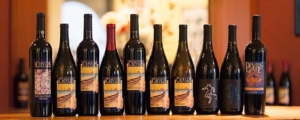 Bottles of wine lined up on a counter at Cayucos Cellars