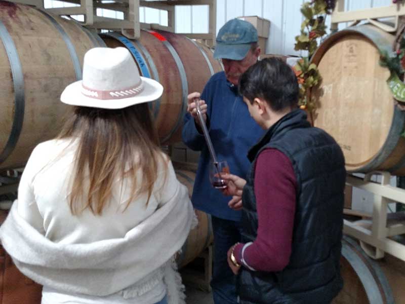 Custom Wine Tour Paso Robles, CA