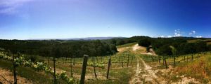 Dunning Vineyards Wine Tasting Paso Robles, CA