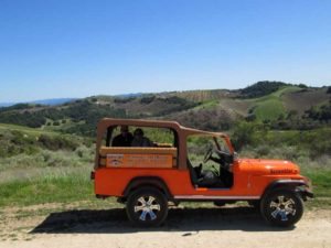 Driving through the vineyards