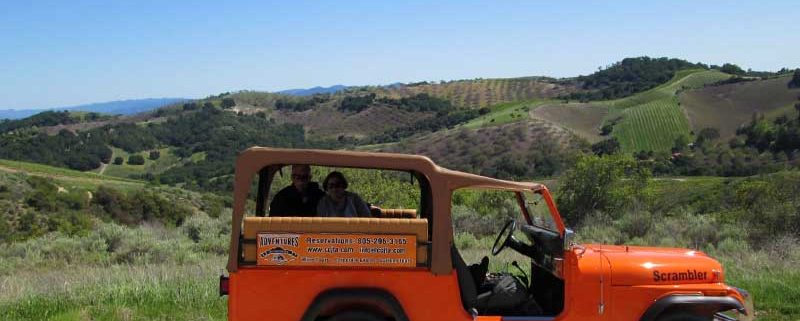 Driving through the vineyards