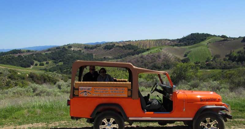 Driving through the vineyards