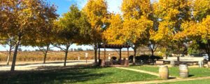 Riverstar Winery Wine Tasting Paso Robles, CA