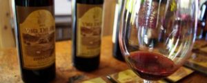 Vista Del Rey Wine Tasting Paso Robles, CA